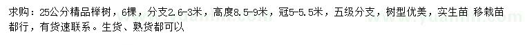 求購25公分櫸樹