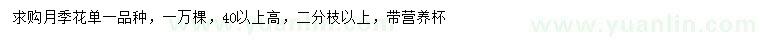 求購(gòu)高40公分以上月季