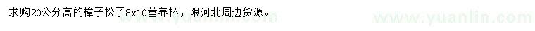 求購(gòu)高20公分樟子松