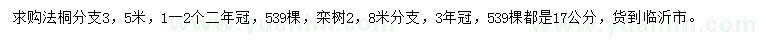 求購17公分法桐、欒樹
