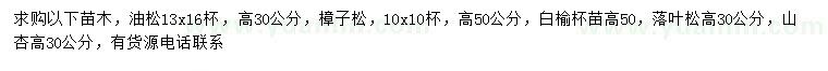 求購油松、樟子松、白榆等