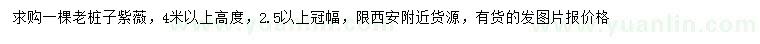 求購高4米以上老樁子紫薇