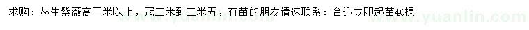 求購高3米以上叢生紫薇
