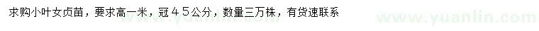 求購高1米小葉女貞