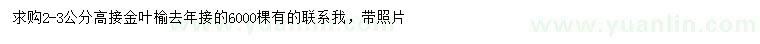 求購2-3公分高接金葉榆