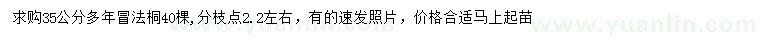 求購35公分法桐