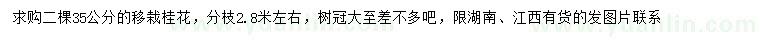 求購35公分桂花