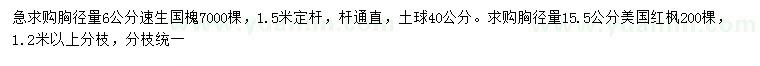 求購(gòu)胸徑量6公分速生國(guó)槐、15.5公分美國(guó)紅楓