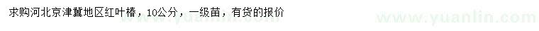 求購10公分紅葉椿