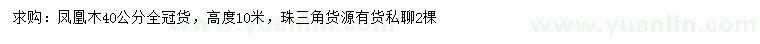 求購40公分鳳凰木