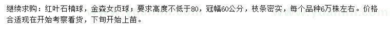 求購(gòu)高80公分以上紅葉石楠球、金森女貞球
