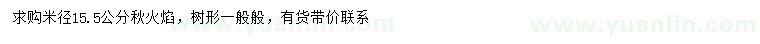 求購米徑15.5公分秋火焰