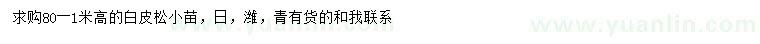 求購(gòu)高80-100公分白皮松