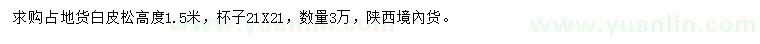 求購高1.5米白皮松