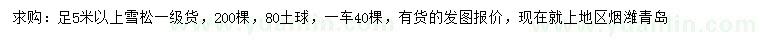 求購(gòu)足5米以上雪松