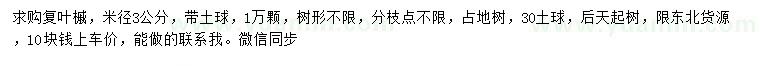 求購米徑3公分復(fù)葉槭