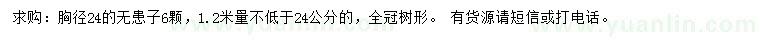 求購胸徑24公分無患子