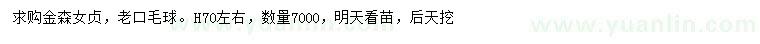 求購(gòu)高70公分金森女貞