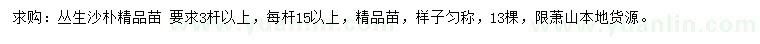 求購(gòu)叢生沙樸精品苗