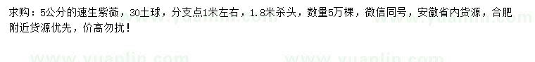求購55公分速生紫薇