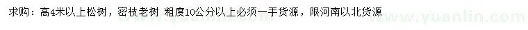 求購高4米以上松樹