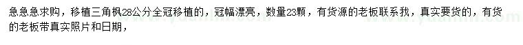 求購28公分三角楓