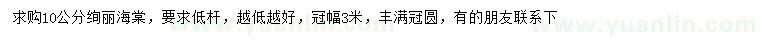 求購10公分絢麗海棠