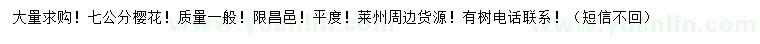 求購(gòu)7公分櫻花