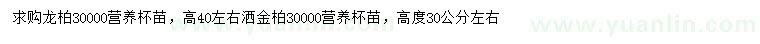 求購(gòu)高40左右龍柏、30公分左右灑金柏