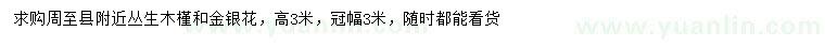 求購高3米叢生木槿、金銀花