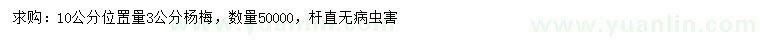 求購10公分量3公分楊梅