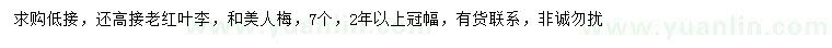 求購(gòu)7公分紅葉李、美人梅