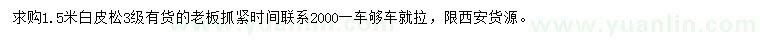 求購1.5米白皮松