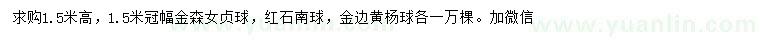 求購金森女貞球、紅石楠球、金邊黃楊球