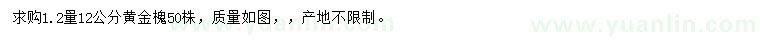 求購1.2米量12公分黃金槐