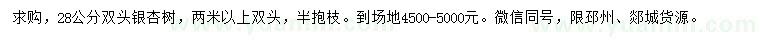 求購28公分銀杏