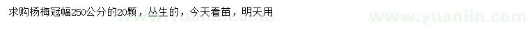 求購冠幅250公分楊梅
