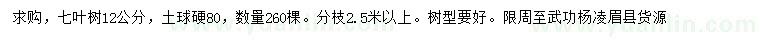 求購(gòu)12公分七葉樹