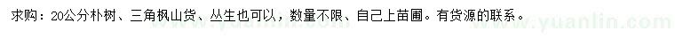求購20公分樸樹、三角楓