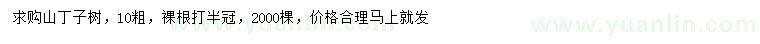 求購10公分山丁子