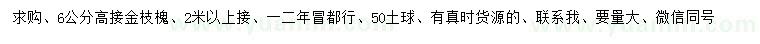 求購6公分高接金枝槐