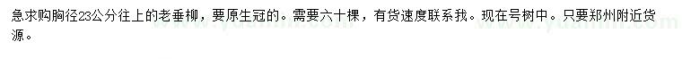 求購(gòu)胸徑23公分老垂柳