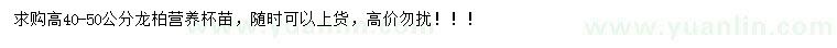 求購高40-50公分龍柏