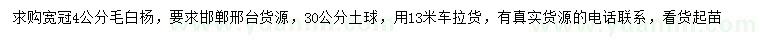求購(gòu)寬冠4公分毛白楊