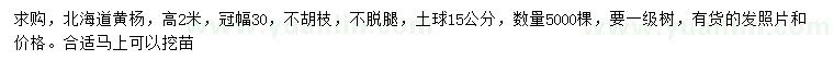 求購高2米北海道黃楊