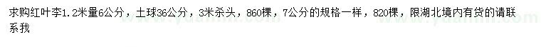 求購1.2米量6、7公分紅葉李
