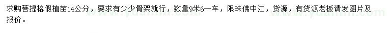 求購(gòu)14公分菩提榕假植苗