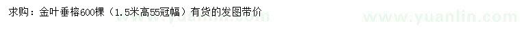 求購高1.5米金葉垂榕