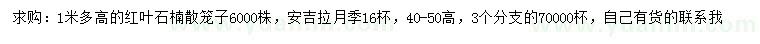 求購(gòu)高1米紅葉石楠散籠子、40-50公分安吉拉月季