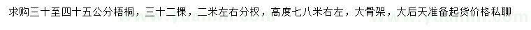 求購30-45公分梧桐